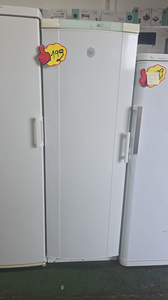 R0484118 Congelador Vertical 180x60 Electrolux frost free blanco